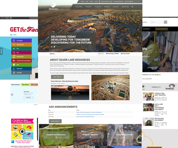 Some business website samples